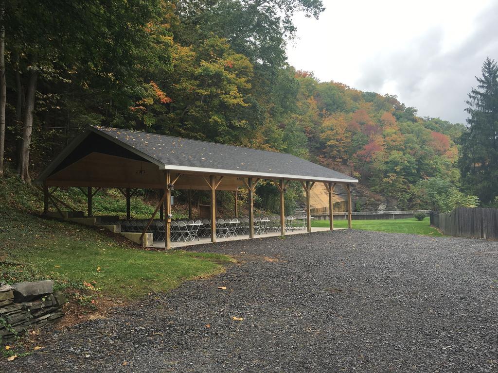 Montour Falls Cook Mansion Bed & Breakfast מראה חיצוני תמונה